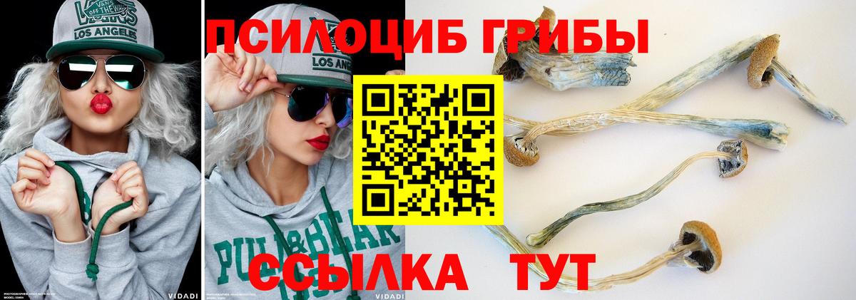 Псилоцибиновые грибы Magic Shrooms Краснодар
