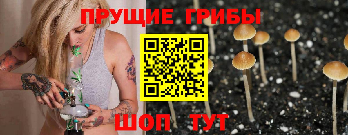Краснодар  Псилоцибиновые грибы Psilocybe  Галлюциногенные грибы Psilocybine cubensis  Вход с VPN 